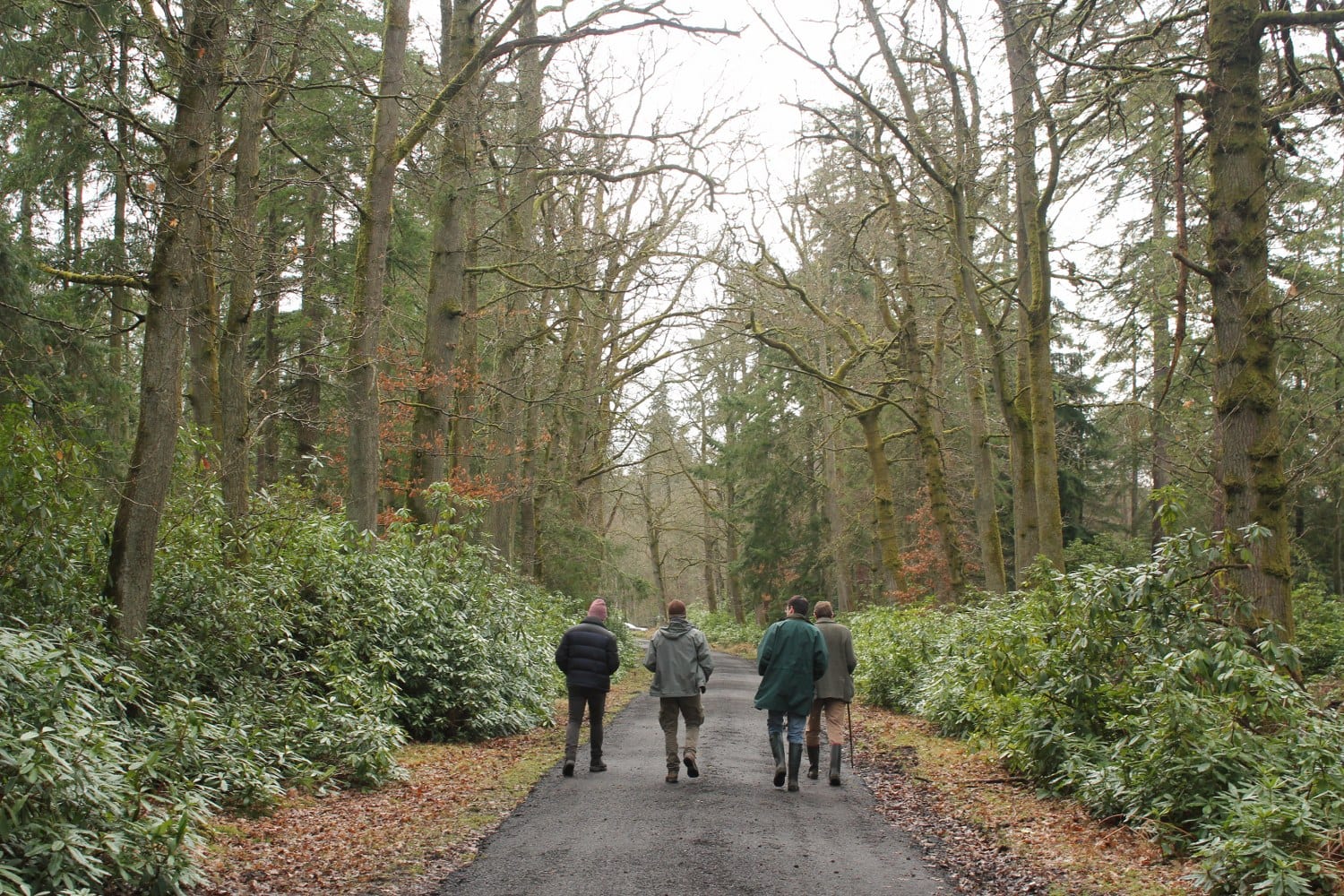WOODLAND TRUST TO BRING THE CHARTER FOR TREES, WOODS AND PEOPLE TO LIGHTS